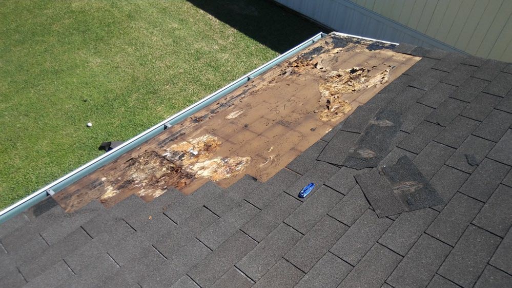 Emergency Roofing Services Roof Tarping Madison Heights