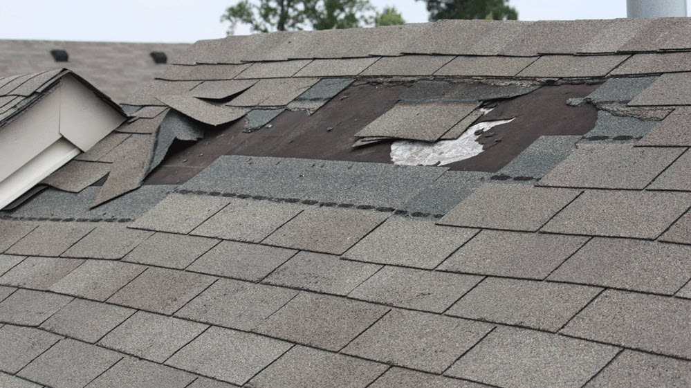 Roof Replacement Services Madison Heights